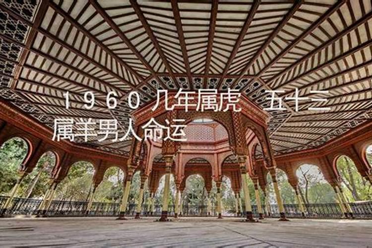属牛人2025年运势分析