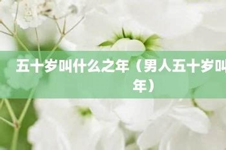 猪和羊的属相适合做夫妻吗