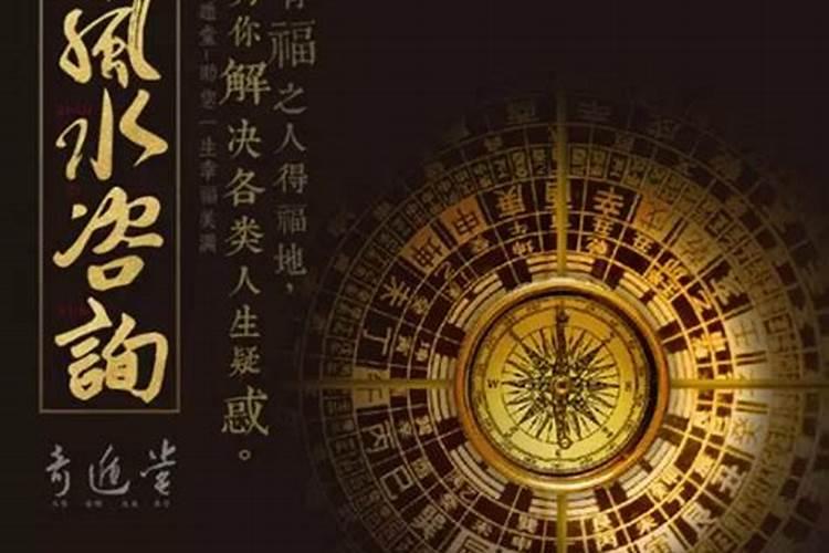 鬼针草功效作用 怎么养殖