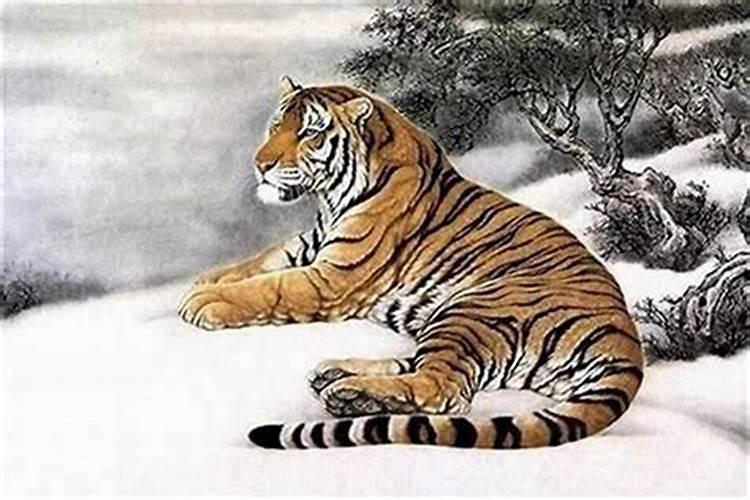 199804208点左右出生的生辰八字是什么