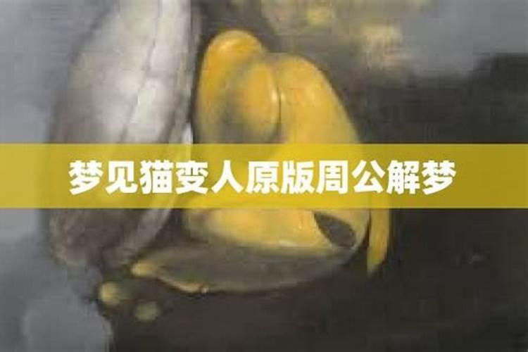 女人梦见猫怎么化解