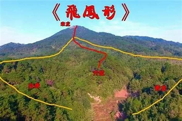 狮子座女生性格特点知乎,狮子座性格分析