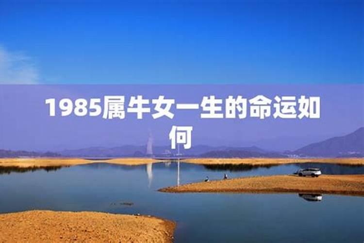 三月三出生的人有什么说法