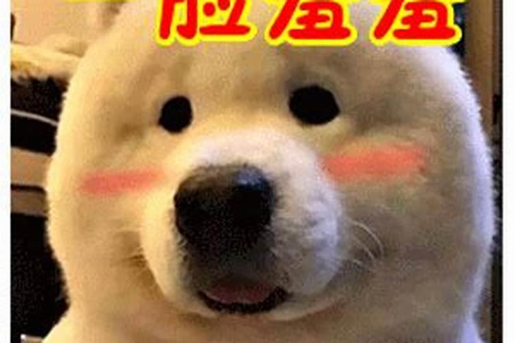 替身魔后还叫什么