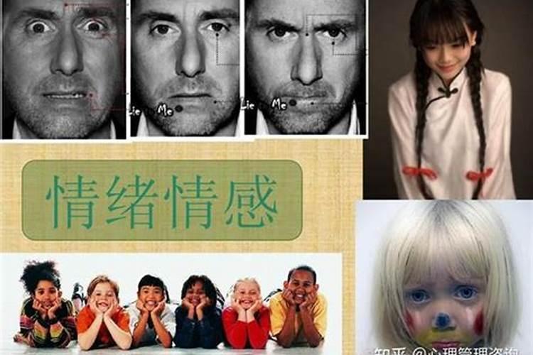 情感和感情的区别是什么？