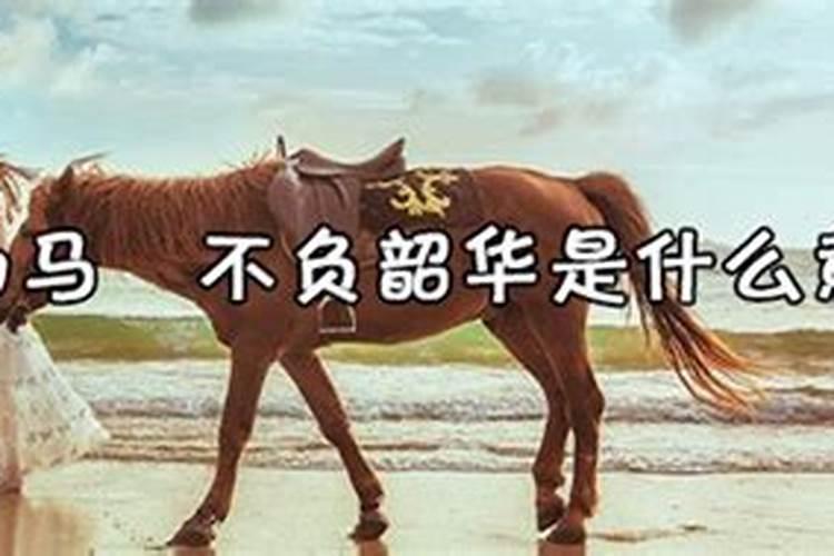 正月初二是什么意思？