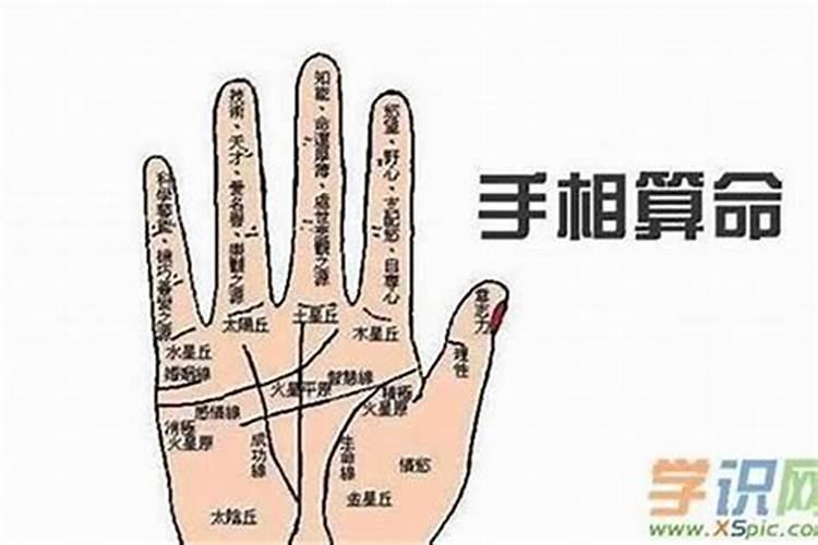 梦到和朋友吵架闹翻是什么意思 梦见和朋友吵架闹翻有什么预兆