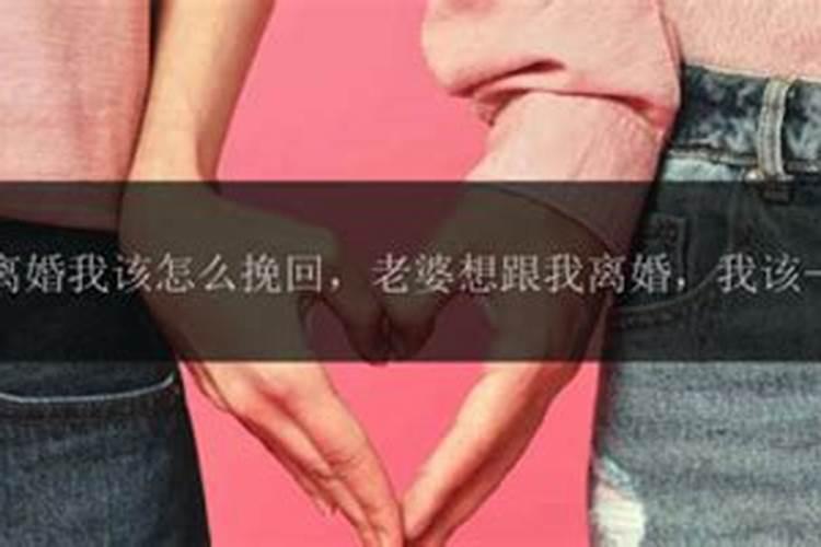 梦见墓地长花的预兆