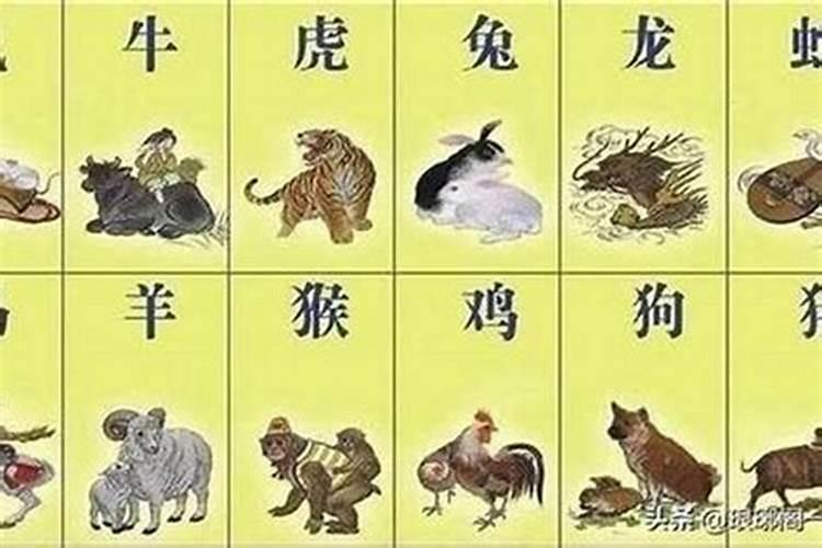 属虎犯太岁年份有哪些
