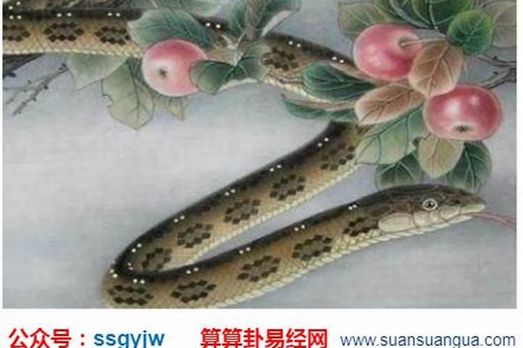 1989年阴历十二月十六日巳时出生的命运