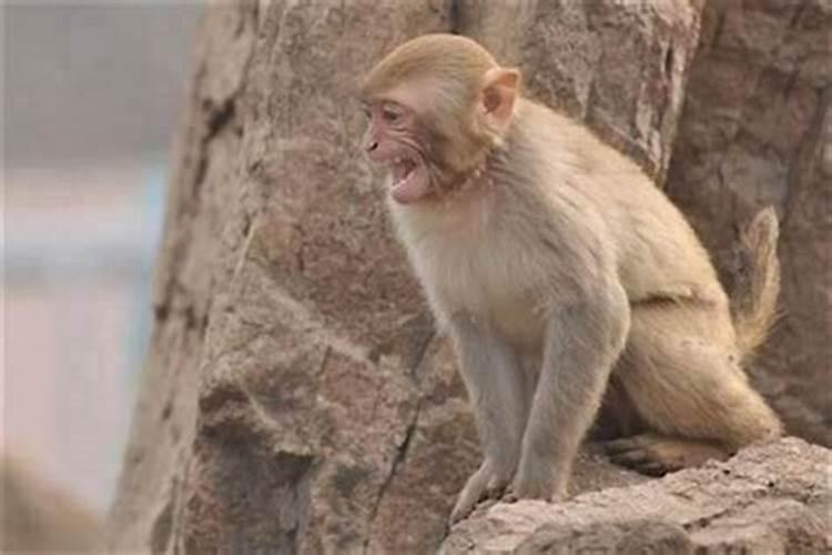 冬至这一天能给别人送东西吗？