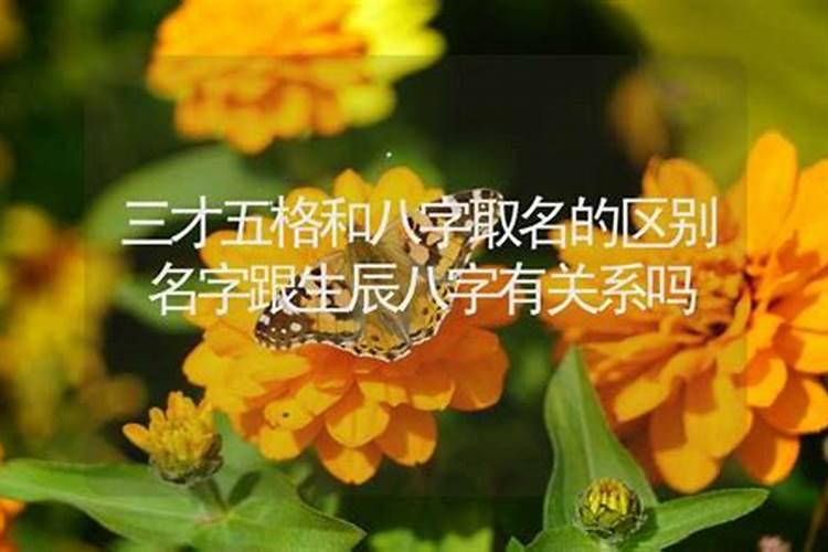 姓名配合八字