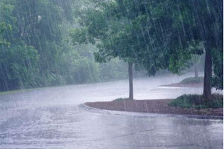 梦到下雨了什么预兆