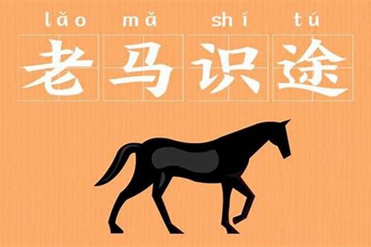 2025年4月23日生肖马打麻将运势运程