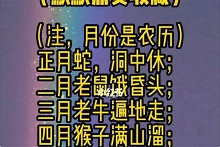 安阳爬山景点,太行林州旅游景点