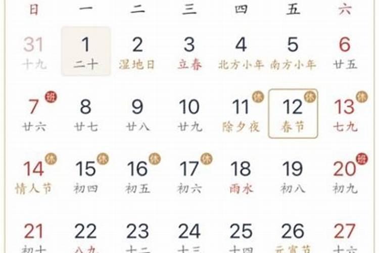 梦见黑蛇咬后背的预兆