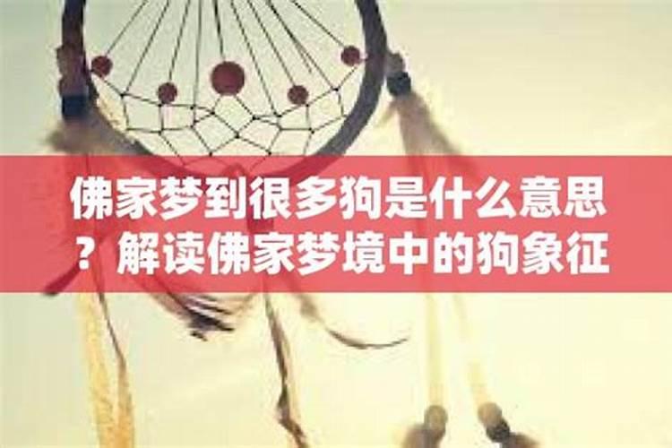 梦见陌生人进自己家里是什么意思 梦见陌生人进自己家里有什么预示