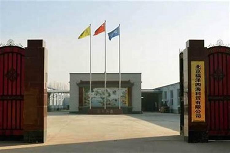鼻子漏孔面相的女人怎么化解