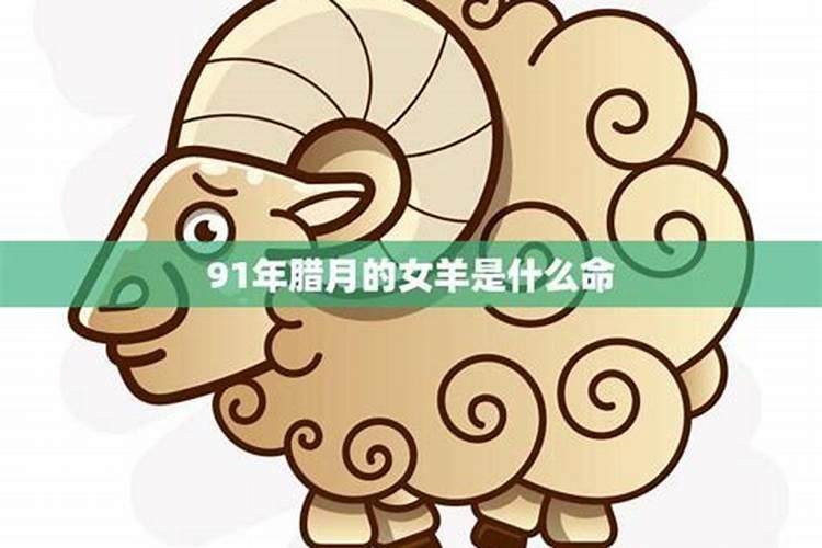 2003年腊月二十八出生的男孩命运怎么样