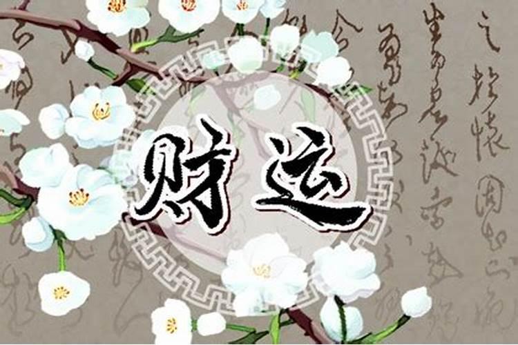 额头发际线高的女人面相