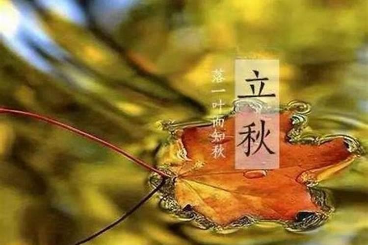 每年最热的时候是哪几天