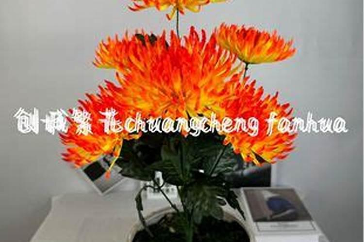 1962年阴历腊月二十七是什么星座