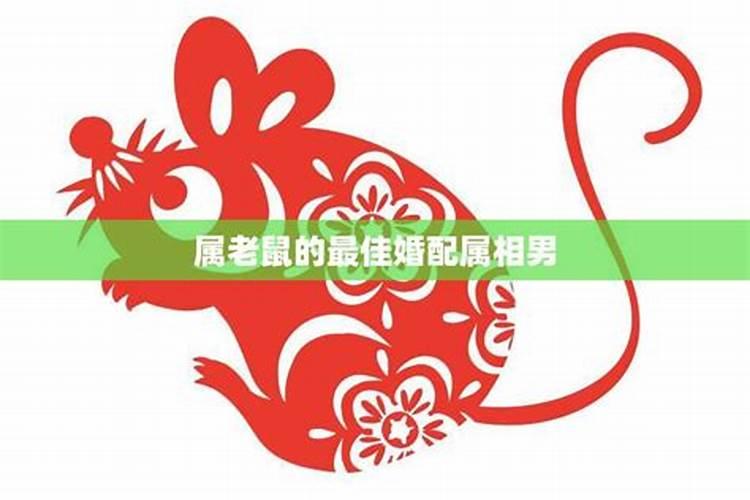 生辰合婚:属鼠的女人与属兔男做夫妻好吗 能合得来吗