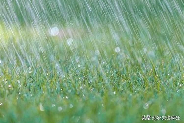 冬至不下雨有什么说法