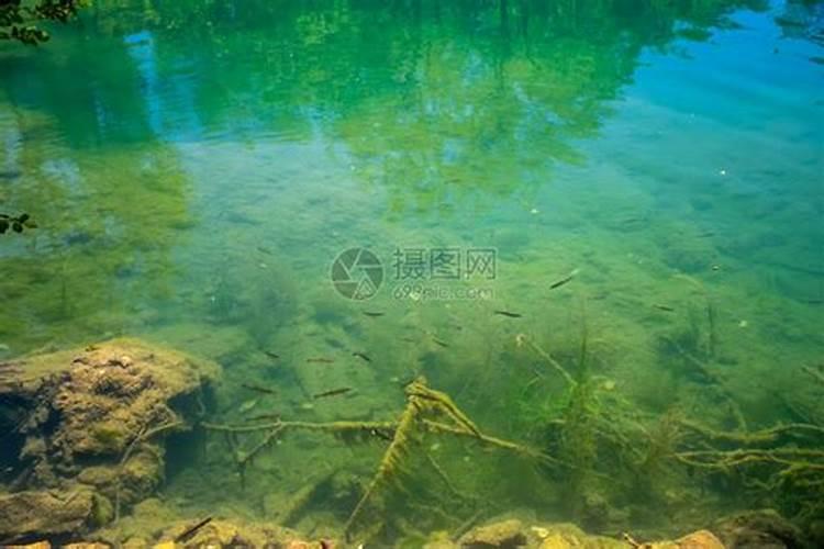 风水学里12月的天坑在哪里