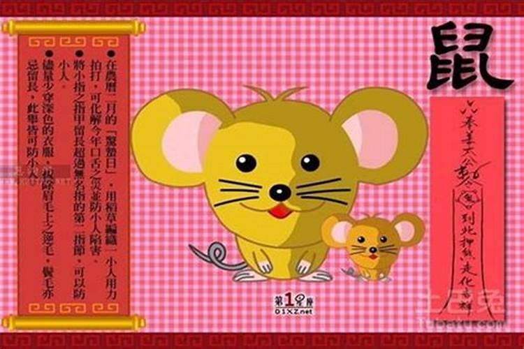属鼠的女孩哪个时辰出生最好 子时出生心灵手巧？