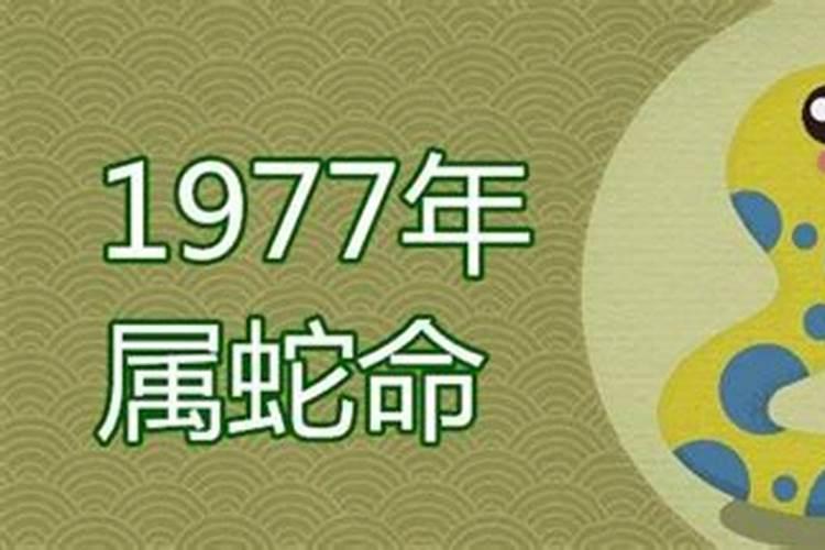1991年属羊是土命还是金命