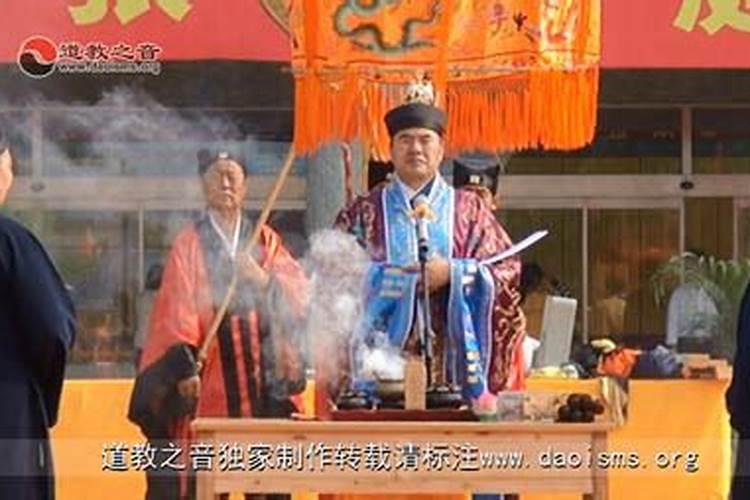 黄金桂茶
