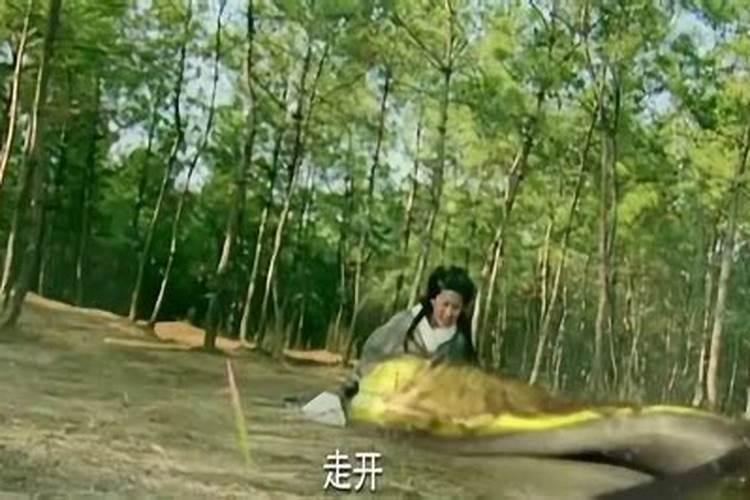 梦见前妻送我东西的预兆