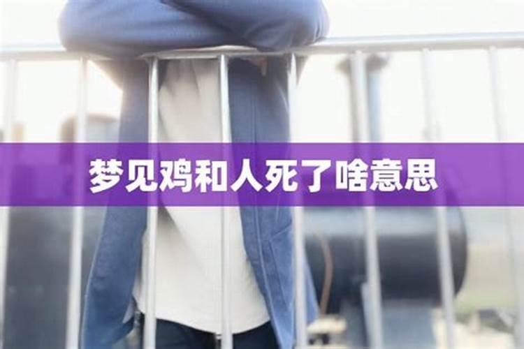 男属鸡和女属龙合不合？
