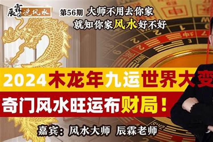 风水催债局怎么布局 财位摆放绿植可催财？