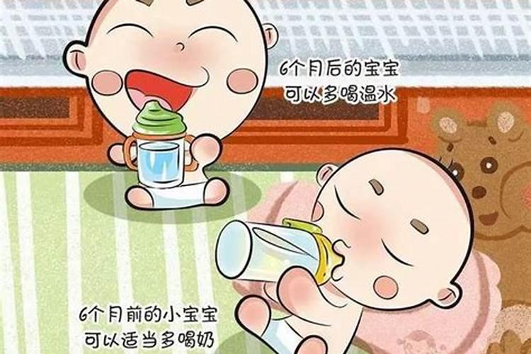 生肖猪2025年运势 属猪2025年运势及运程