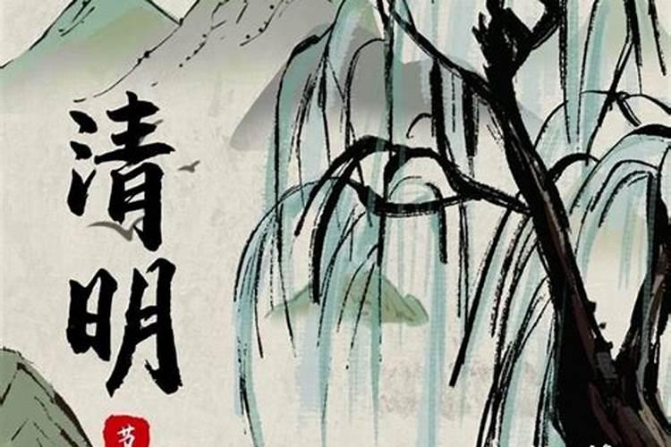 梦见老鼠跳到我身上又跑了