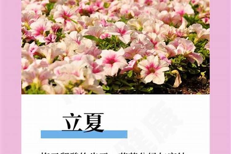 梦见给孩子买鞋是什么意思？