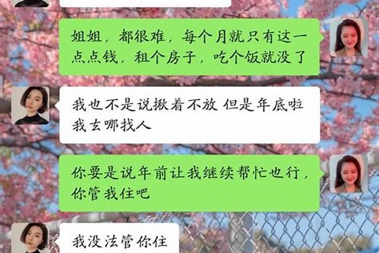 清明节会吃哪些食物
