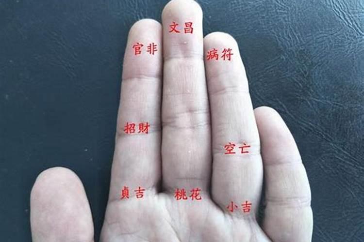 属蛇人运气最好的年份