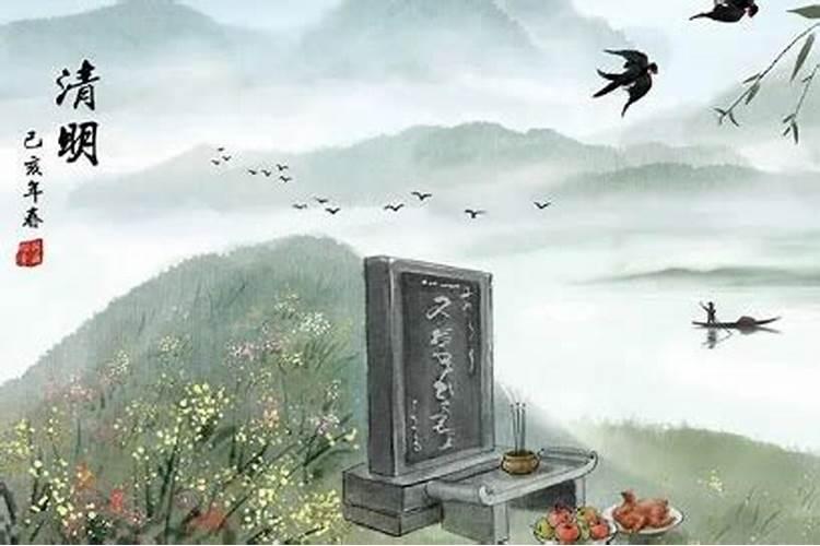 2025属猪今年有一难 属猪人2025年综合运势