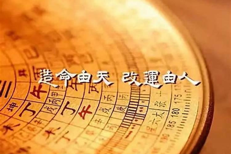 狗和虎的属相合不合