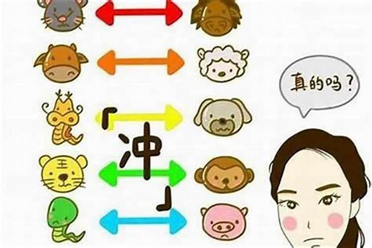 属相不合就不能在一起吗？为什么？有什么科学依据？求说服家长的办法