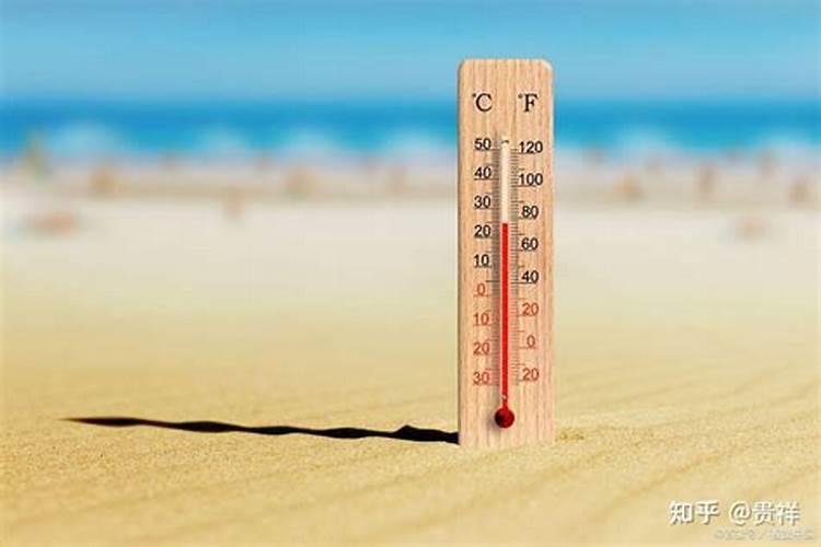 夏天可以收割或成熟了的蔬菜、水果有哪些？
