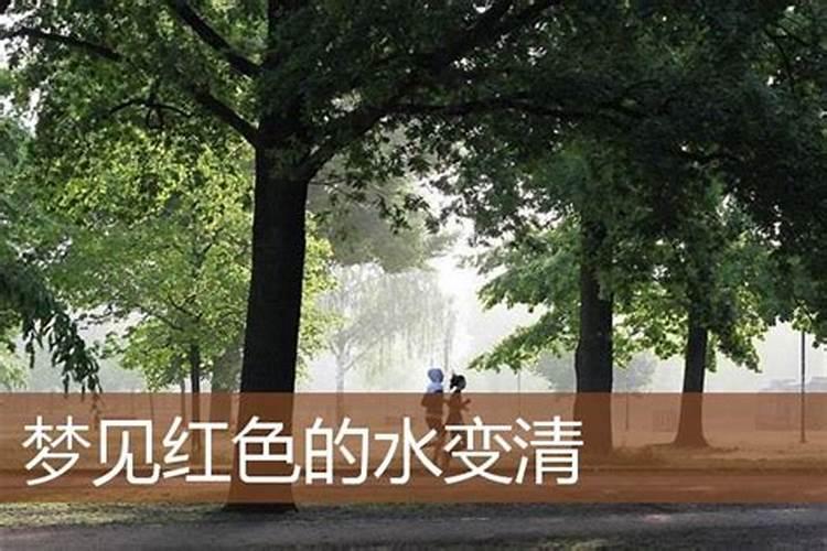 梦见红水是什么意思？