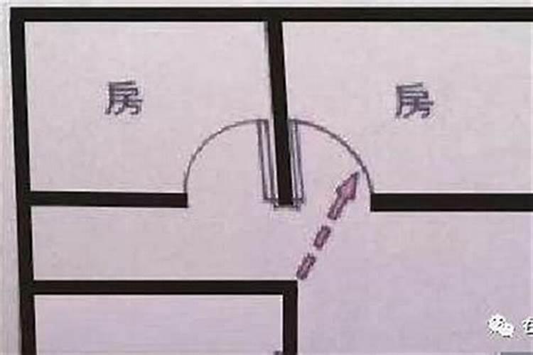 家里面摆什么东西影响气运