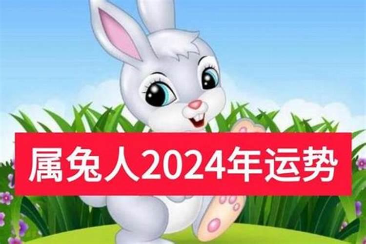 梦见玉米面条机