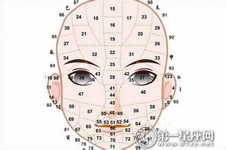从面相看20至60岁运势