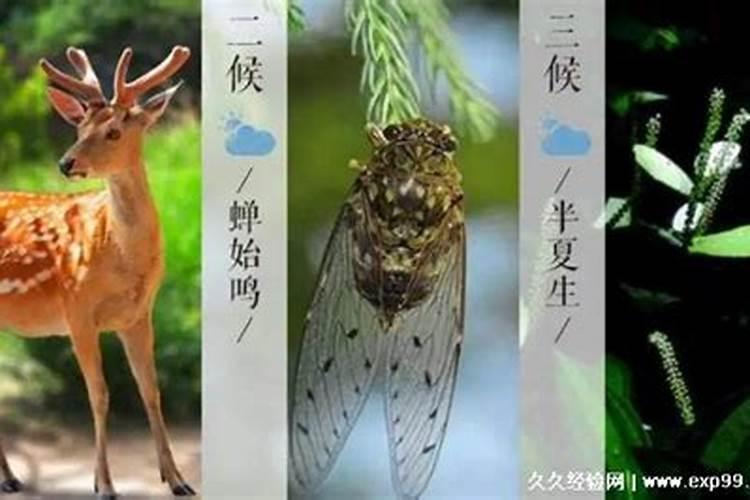 梦见大海涨潮有什么预兆 梦见大海涨潮好不好