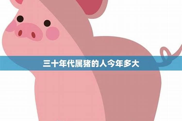 今年属猪的运气会怎么样